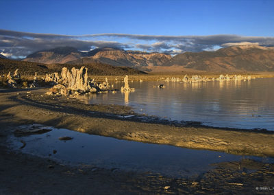 Tufa in morning display