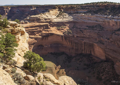 Elevated canyon cliff dwelling