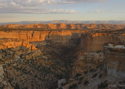 Morning light touching canyon rim