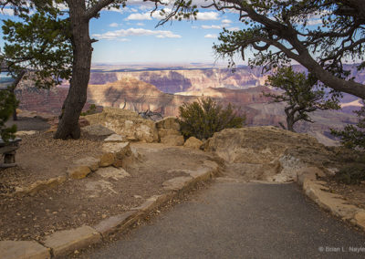 Canyon view from shaded tree edge