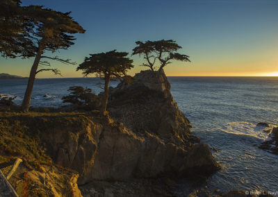 Coastal view, Lone Cypress in golden light