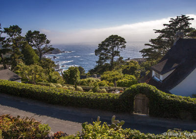 Ivy gate house by the sea