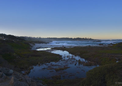 Morning coastline