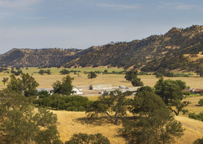 Panoramic vista of a golden valley