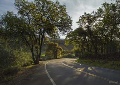 Winding country lane in spring