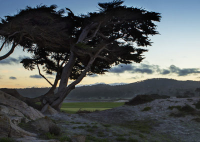 Dawn over Cypress Point golf course