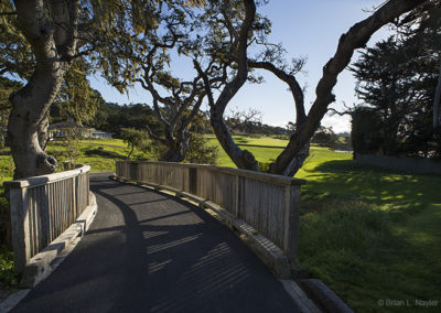 Bridge on course