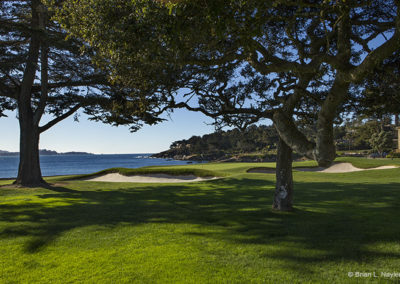 Golf green by the sea