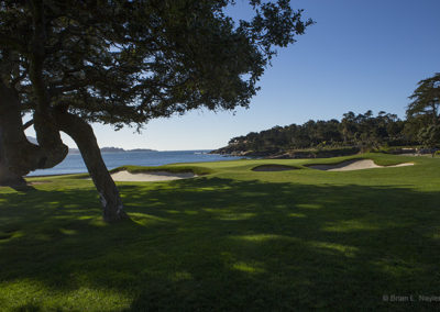 Golf green by the sea