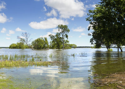 Lake in spring overflow