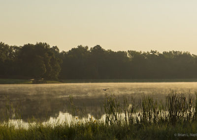 Still waters in morning light