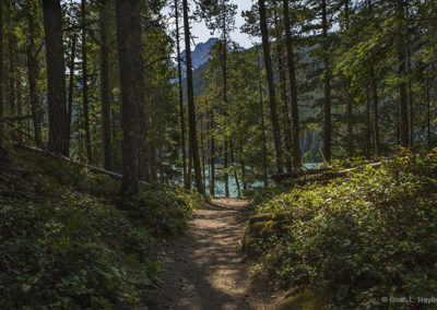 Forest trails to lakeside