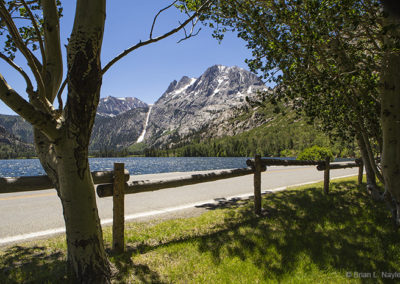 Lake in spring light