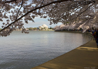 Memorial view ringed by spring blooms