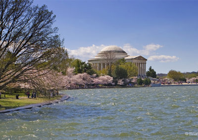 Washington in spring colors