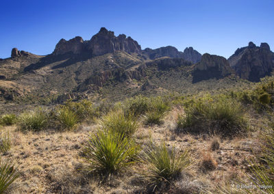 Southwest ridge under afternoon light