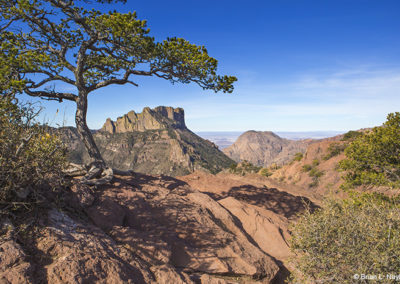 Red rocks and mountain views