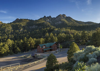 Forested mountain in late skies