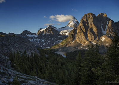 Forest view of mountain highs