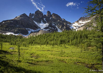 Meadow and mountain view