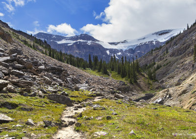 Alpine trail view of icy peaks