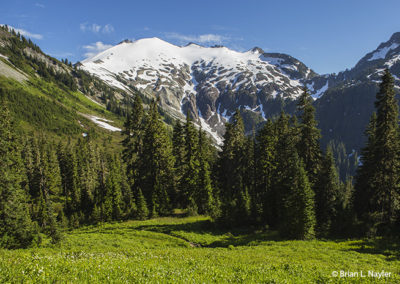 Meadow view and icy peaks