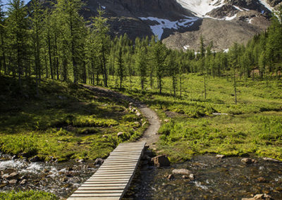 Bridge over mountain stream and green meadows