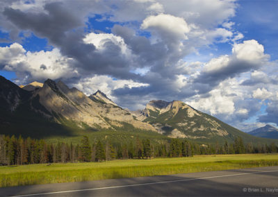 Forest and mountain views under afternoon skies