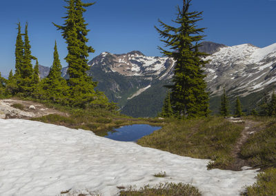 Broad meadow view with snow and distant mountains