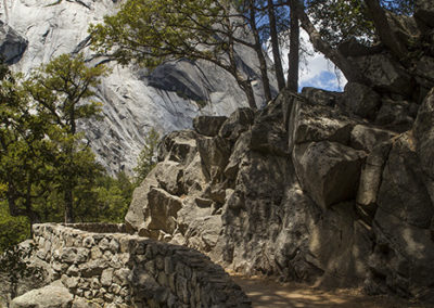 Mountain path under trees