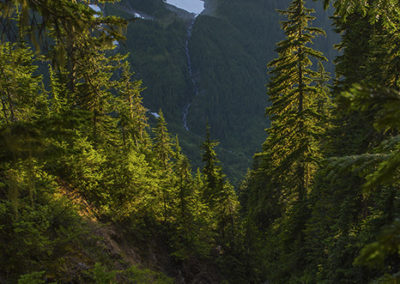 Forest ravine and tall peaks