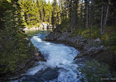 Rapids cut through deep forest