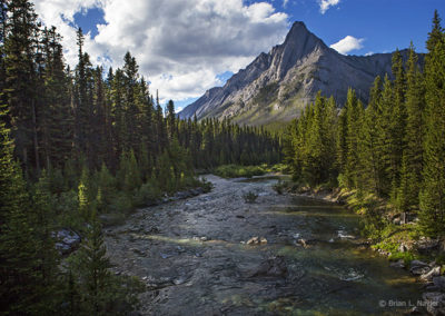 Flowing river and mountain view