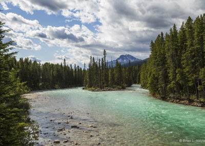 River running through forest view