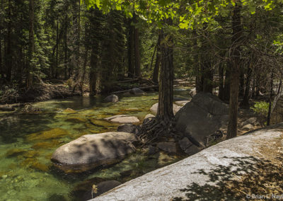 Clear waters in Alpine rivers