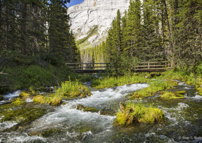 Alpine river rapids