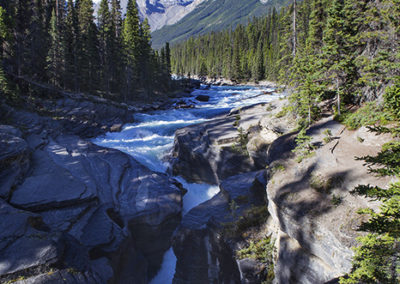 Wilderness river cuts through canyon