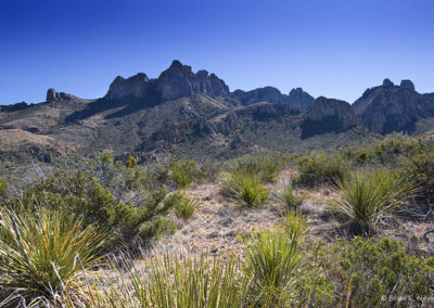 Southwest mountains and desert fauna