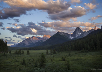 Meadows with late sky lighting