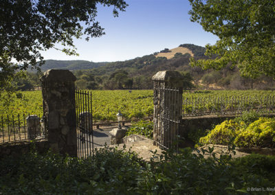 Vineyard view gateway