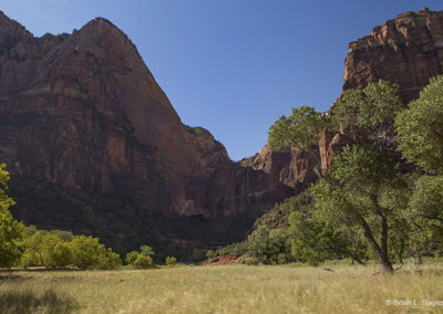 Valley floor and tall cliffs