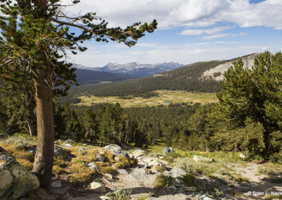 Valley view from mountain slopes