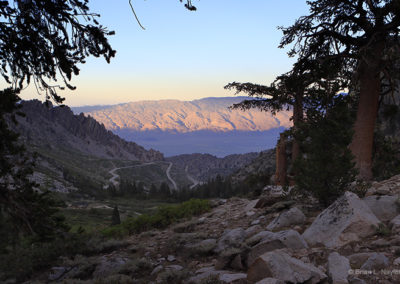 Down valley view in late light