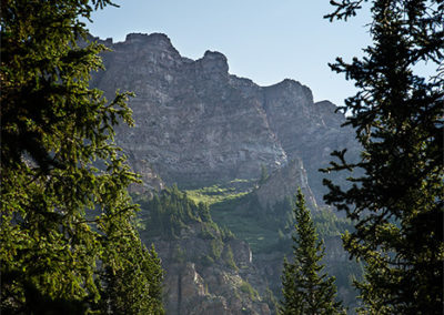 High mountain cliffs appear through the trees