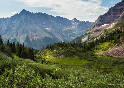 Mountain tops with tree line meadows