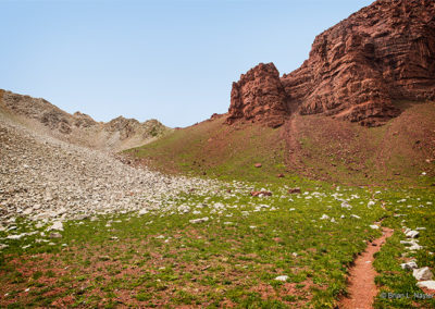 Mountain trail ascends through fields of stone.