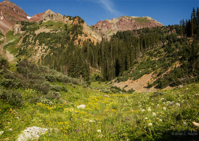 Wild flowers carpet the ground in front of the mountain peaks