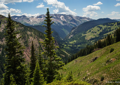 Steep slopes lead down through the pines to valley pastures and surrounding mountains