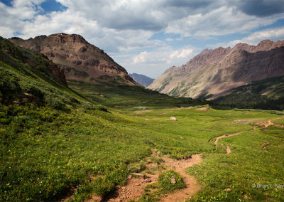 Trails wind through mountain flowers